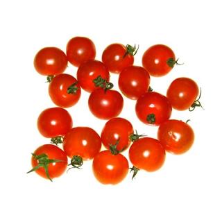 Cherrytomate bunt, eigen