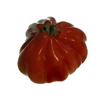 Tomate Fleisch, Mix, eigen