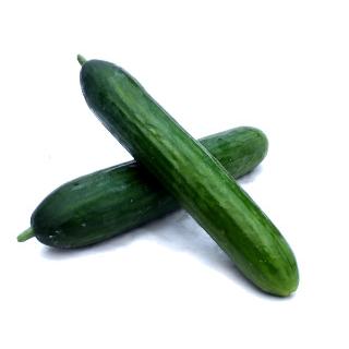 Gurke Mini, eigen