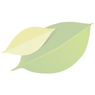 Frühjarsblütenhonig klein