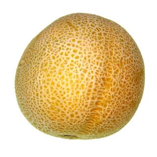 Melone "Galia"