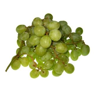 Traube "Sultana" weiß. kernlos