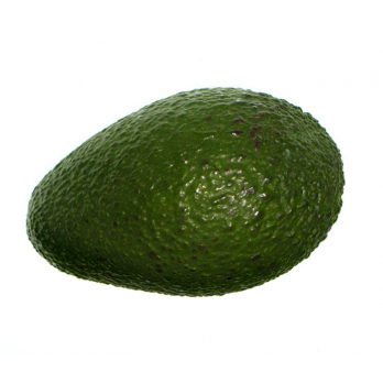Avocado "Hass" NB
